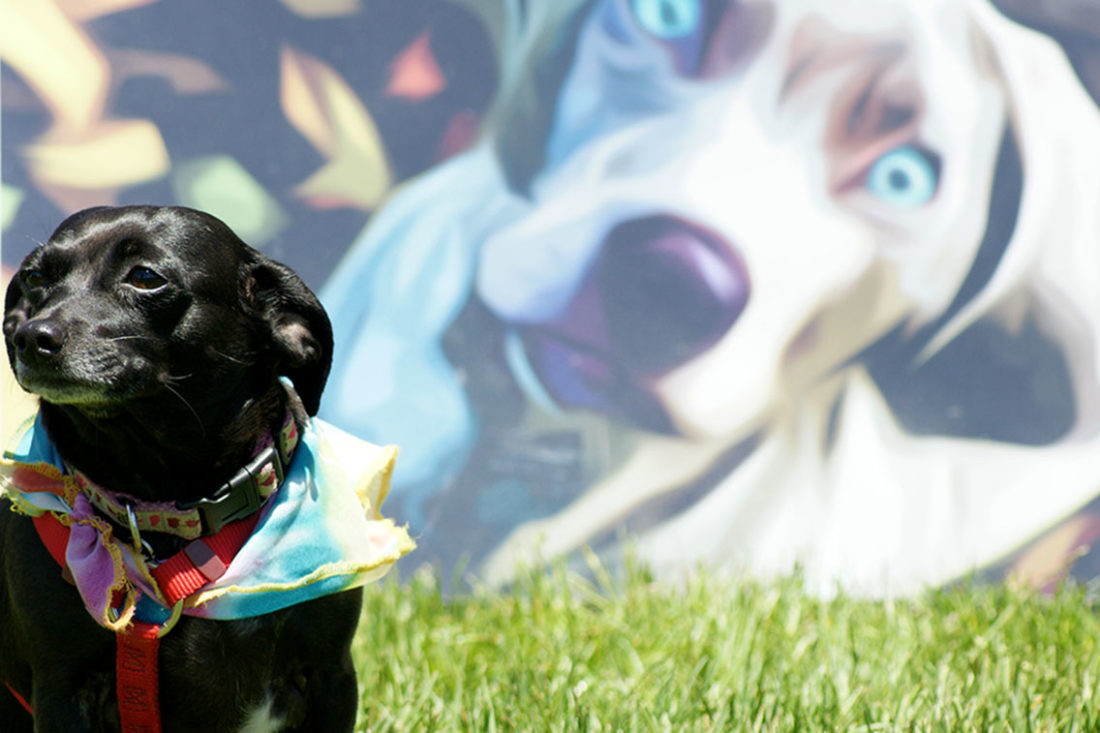 A dog sitting in front of a billboard