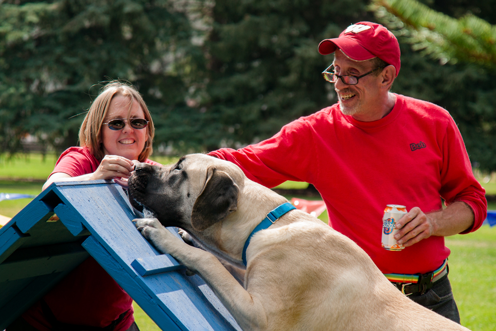 A dog at a dog training demonstration