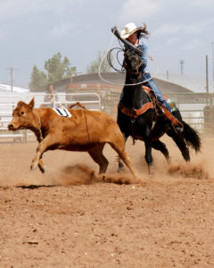 Roping calves